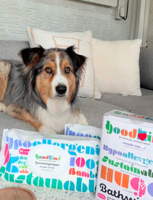 Australian Shepherd dog sitting next to GOODKIND wipes on a couch