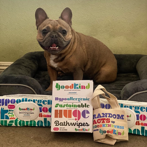 Smiling French Bulldog sitting with GOODKIND oversized bath wipes, grooming wipes, and Random Acts of GOODKINDness tote